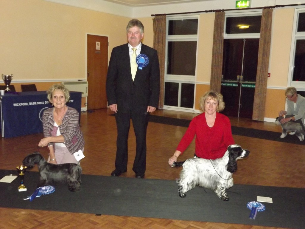 2012 MEMBERS LIMITED SHOW - Judge: Mr. Colin Waddell (Riqitta)