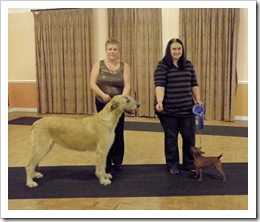 Dog of the Year and Res. Dog of Year 2013
