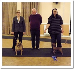 Res. Veteran, Res. Dog of the Year 2013