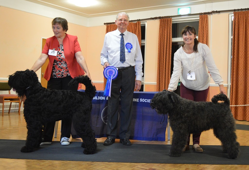 2016 MEMBERS LIMITED SHOW - Judge: Mr. Jim Martin (Ramtin)