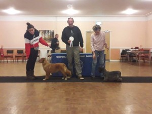 FEB 2019 Puppy and BIM winner