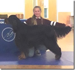 MAY 2019 JUNIOR HANDLER WINNER