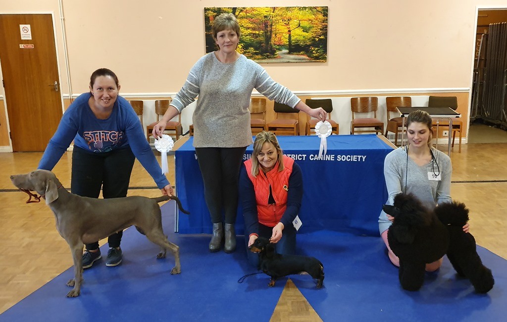 2020 FEBRUARY MATCH - Judge: Mrs. Sally Tearle (Terlingfair, French Bulldog/Bulldog)