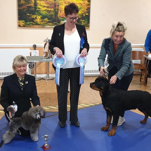 2021 Limited Show - Best Puppy and Reserve Best Puppy