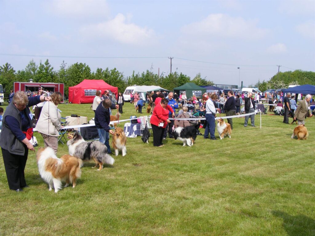 2012 MAY OPEN SHOW - Barleylands, Billericay, Essex