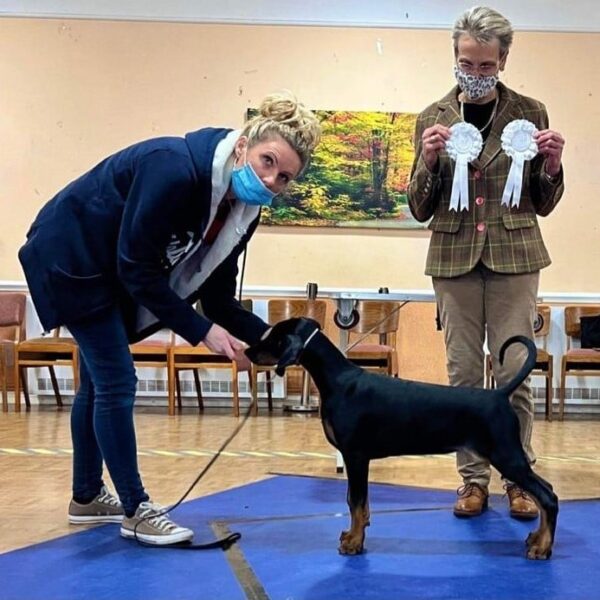 Best Puppy and Best In Match - Jan 2022