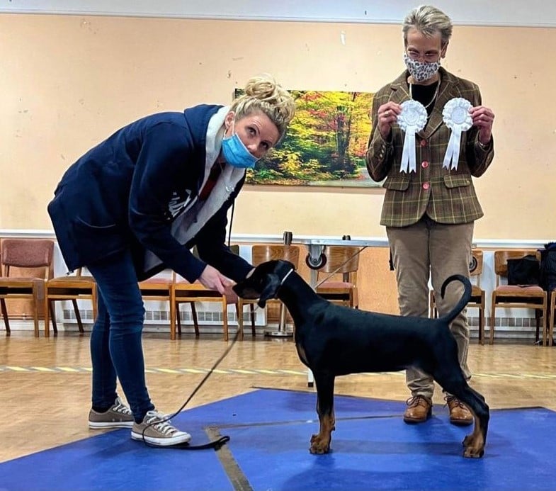 Best Puppy and Best In Match - Jan 2022