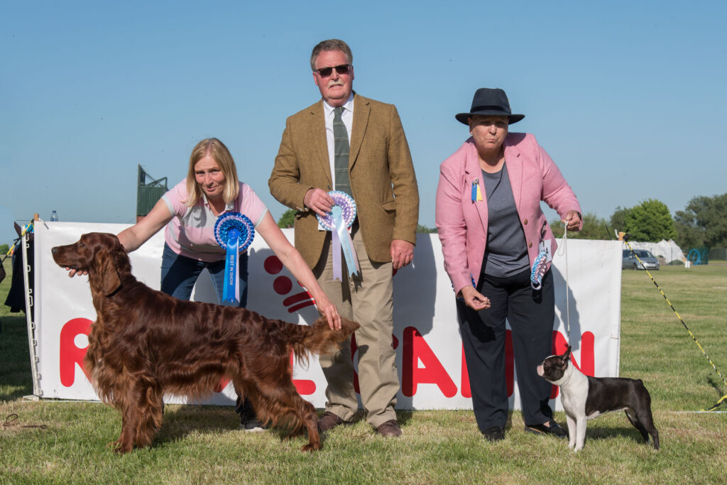 Best In Show and Best Puppy In Show - 2022 Open Show