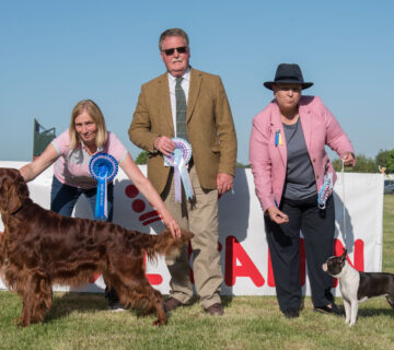 Best In Show and Best Puppy In Show - 2022 Open Show