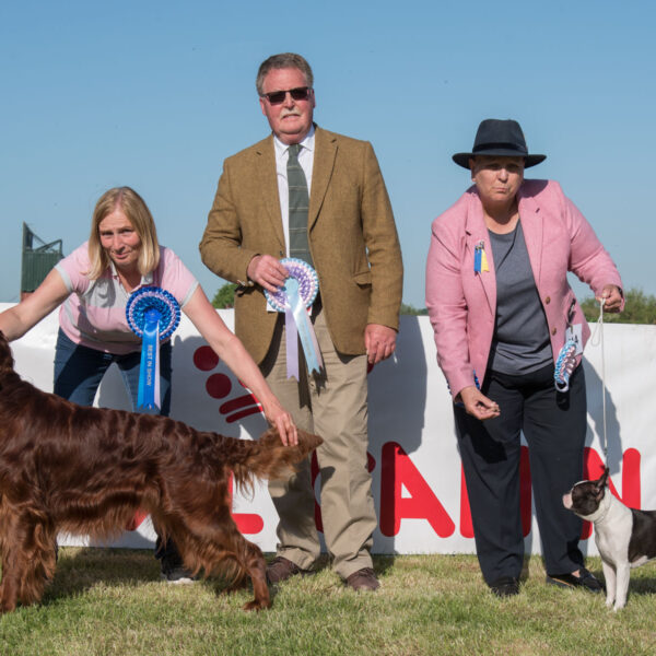 Best In Show and Best Puppy In Show - 2022 Open Show
