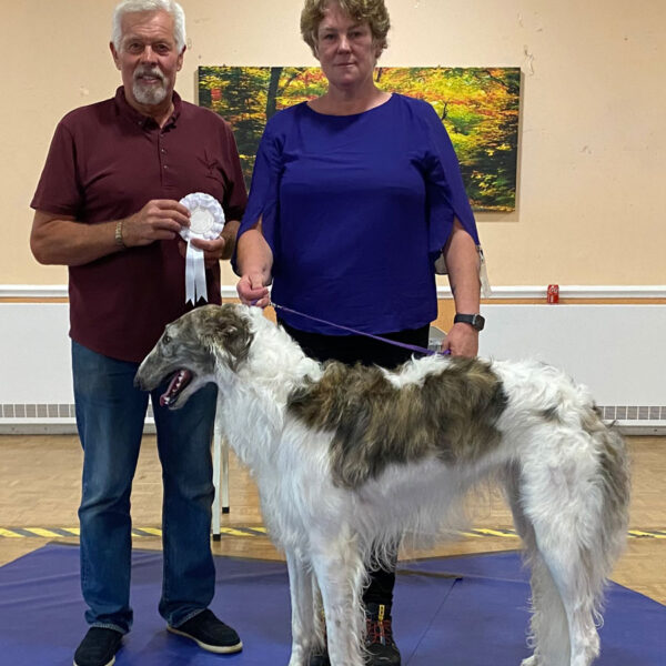 Best Yearling In Match and Best In Match - August 2022