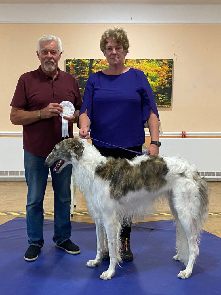 Best Yearling In Match and Best In Match - August 2022