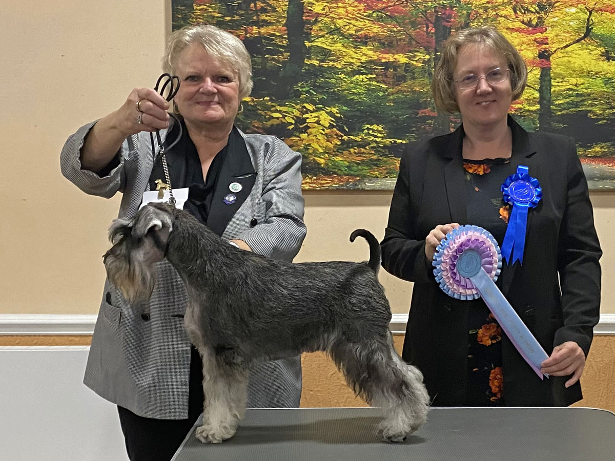 2022 Members Limited Show - Reserve Best Puppy In Show