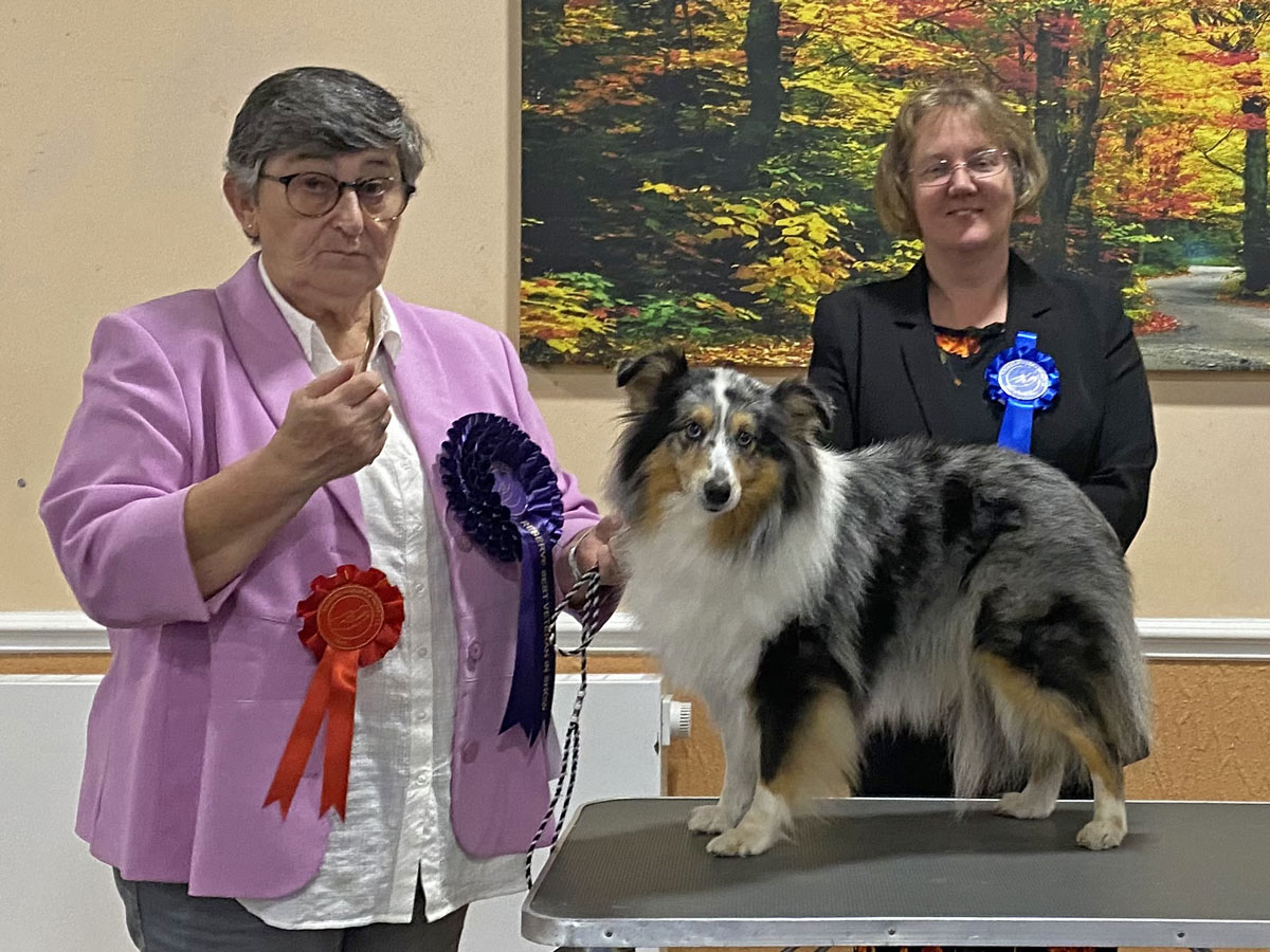 2022 Members Limited Show - Reserve Best Veteran In Show