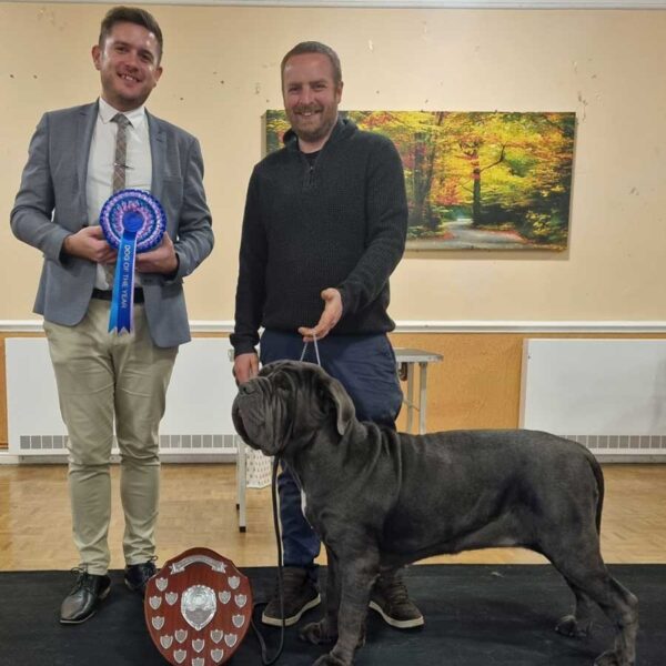 Best Adult and Dog Of The Year 2022