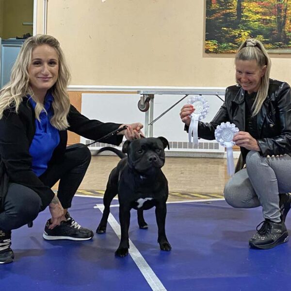 Best Adult and Best In Match - August 2023 Best Adult and Best In Match - August 2023