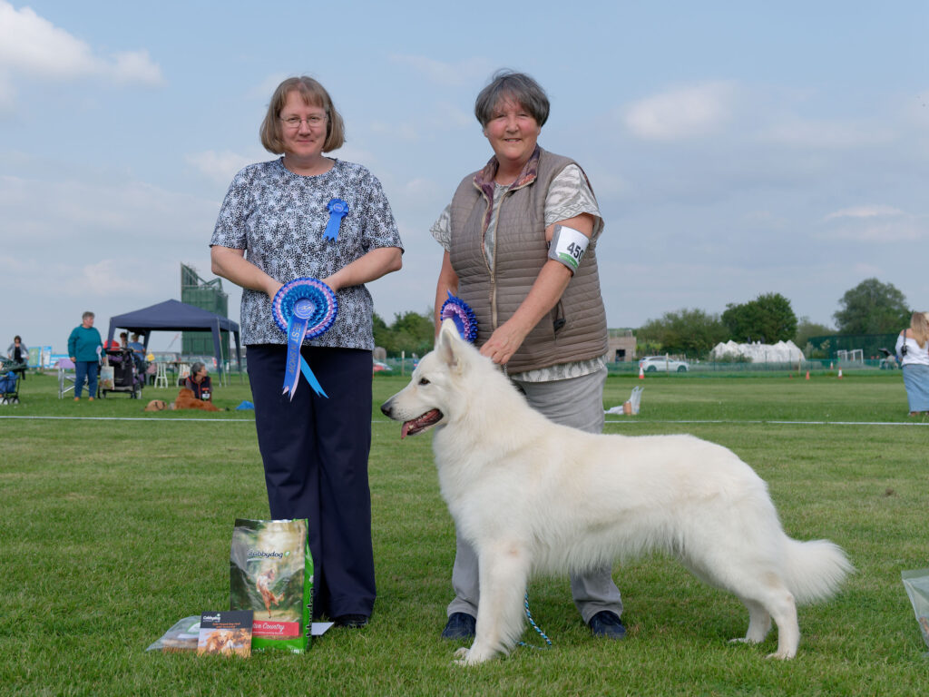 2024 Open Show - Best In Show