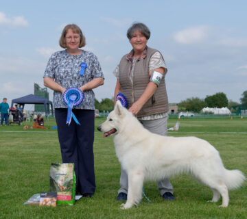 2024 Open Show - Best In Show