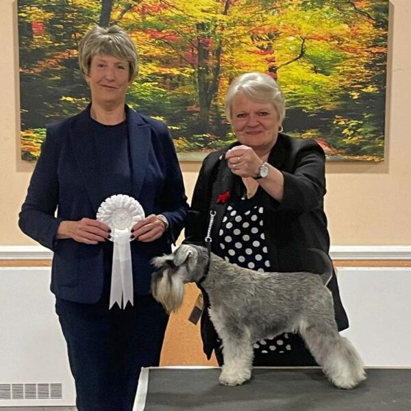 Best Yearling and Best In Match   June 2024