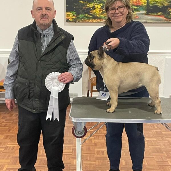 Best Adult and Best In Match   November 2024