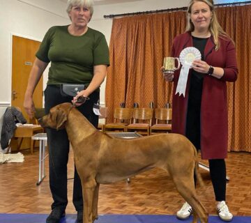 Best Adult and Best In Match - October 2024