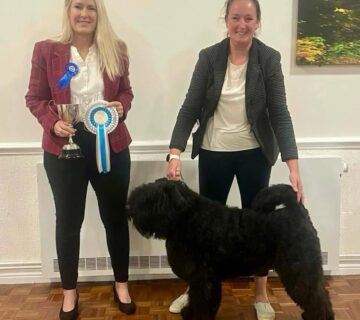 Best In Show - October 2024