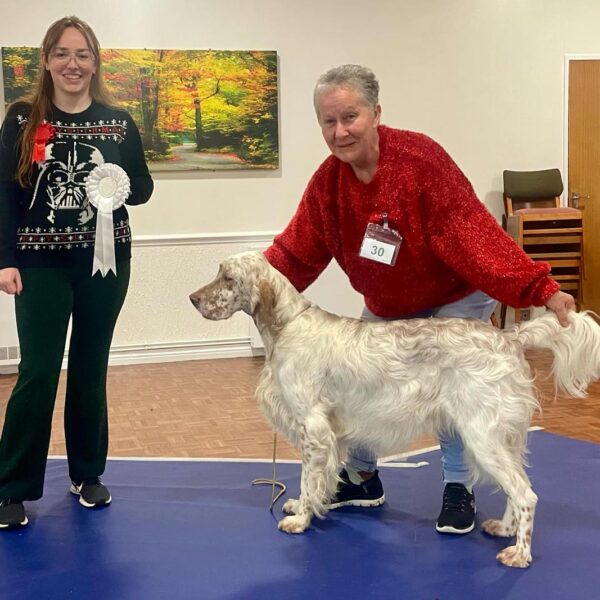 Best Yealing and Best In Match   December 2024