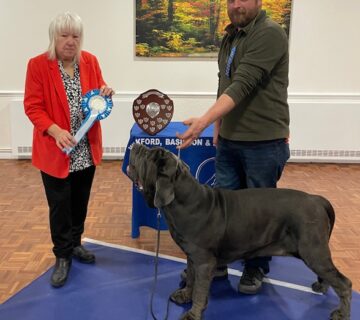 Best Adult - DOTY 2024