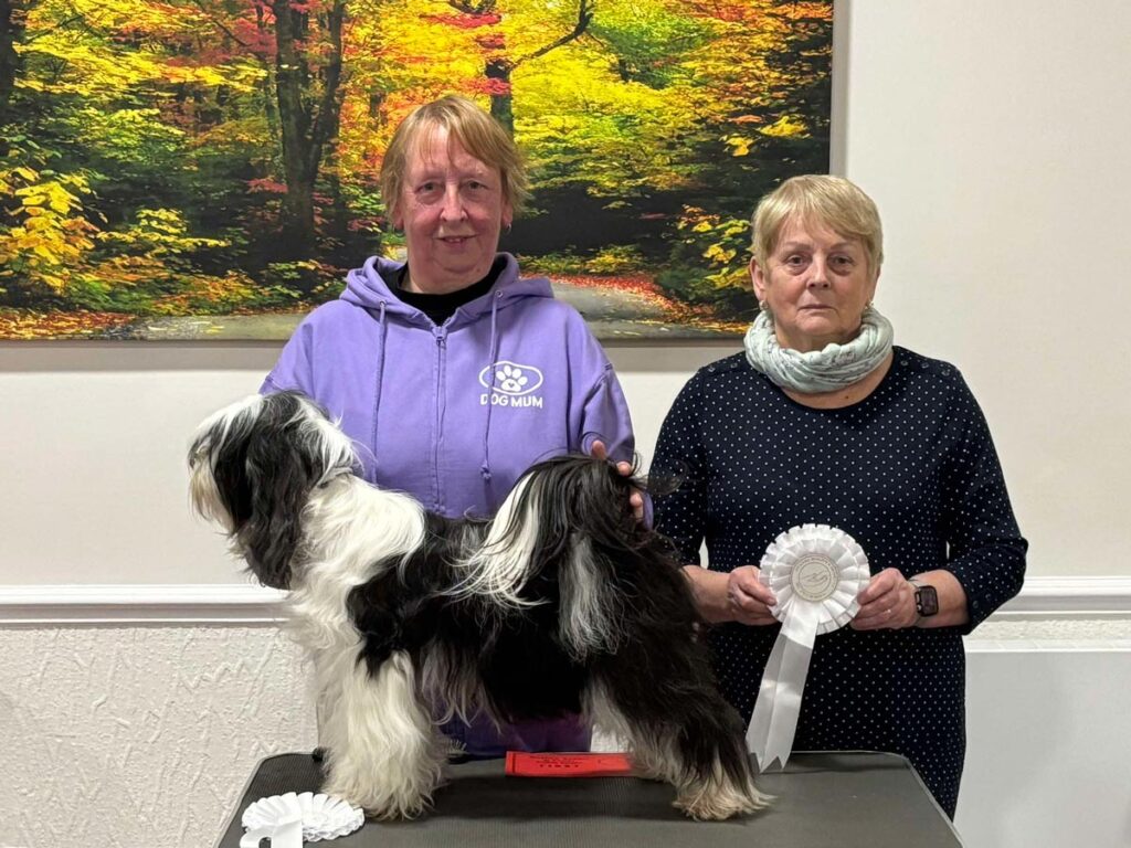 Best Adult and Best In Match - March 2025