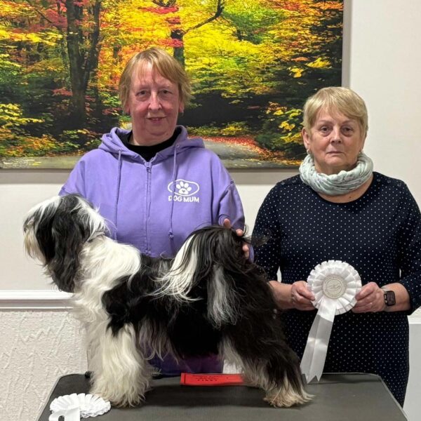 Best Adult and Best In Match - March 2025