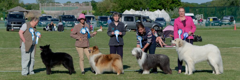 Pastoral Group Winners - May 2025 Open Show Pastoral Group Winners - May 2025 Open Show