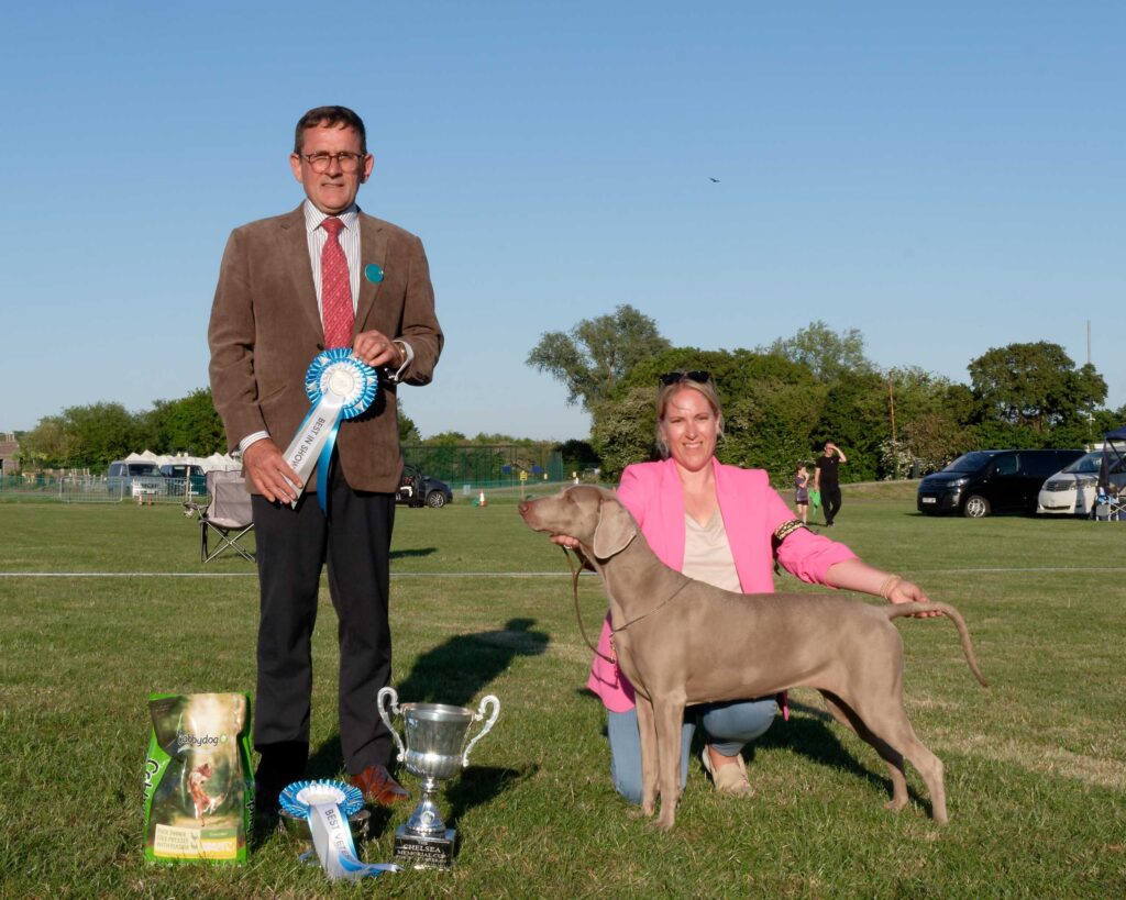 Best In Show & Best Veteran In Show - May 2025 Open Show Best In Show & Best Veteran In Show - May 2025 Open Show