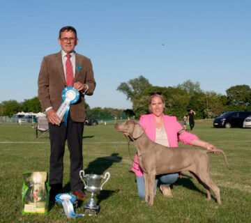 Best In Show & Best Veteran In Show - May 2025 Open Show