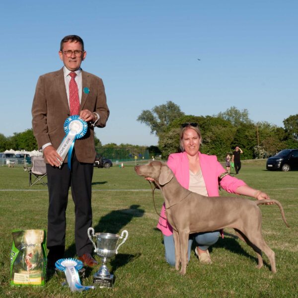 Best In Show & Best Veteran In Show - May 2025 Open Show
