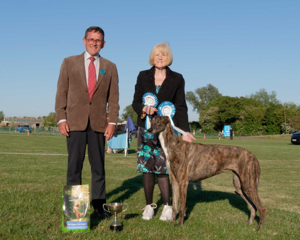 Reserve Best In Show - May 2025 Open Show Reserve Best In Show - May 2025 Open Show