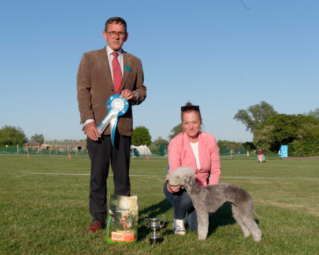Best Puppy In Show - May 2025 Open Show Best Puppy In Show - May 2025 Open Show
