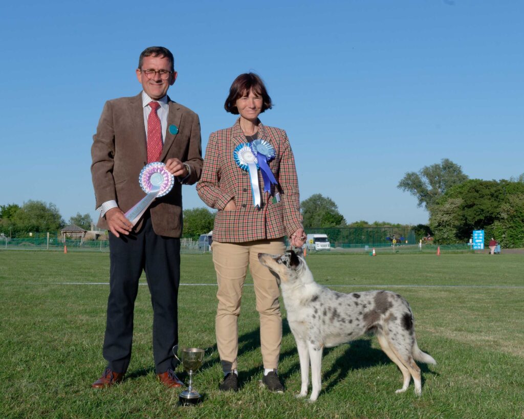 Reserve Best Puppy In Show - May 2025 Open Show Reserve Best Puppy In Show - May 2025 Open Show