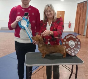 Best Adult and Dog Of The Year   DOTY 2025