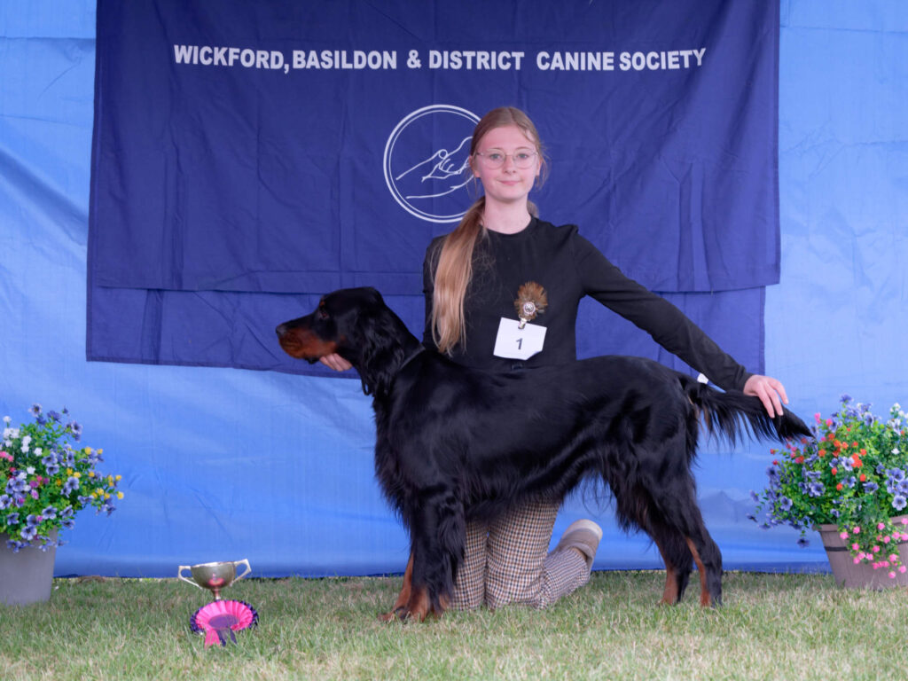 Junior Handling Association (Age 12 to 16) - Open Show 2026 Junior Handling Association (Age 12 to 16) Open Show 2026