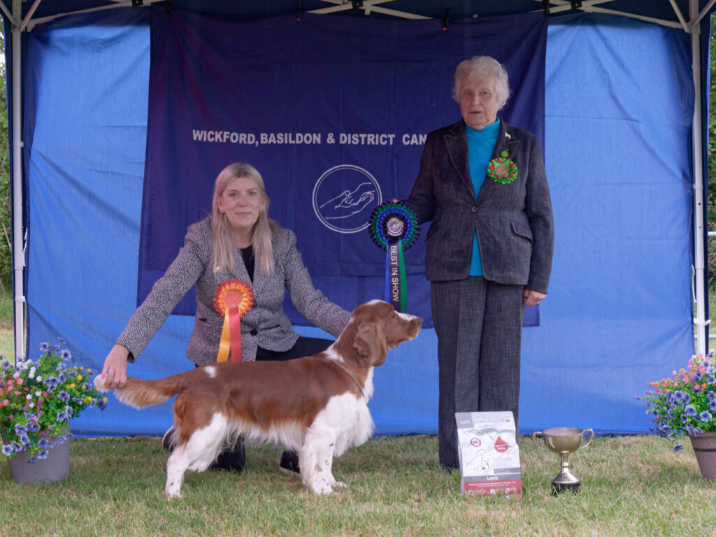 Best In Show - Open Show 2026 Best In Show Open Show 2026