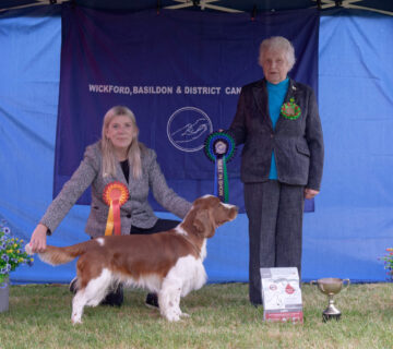 Best In Show   Open Show 2026