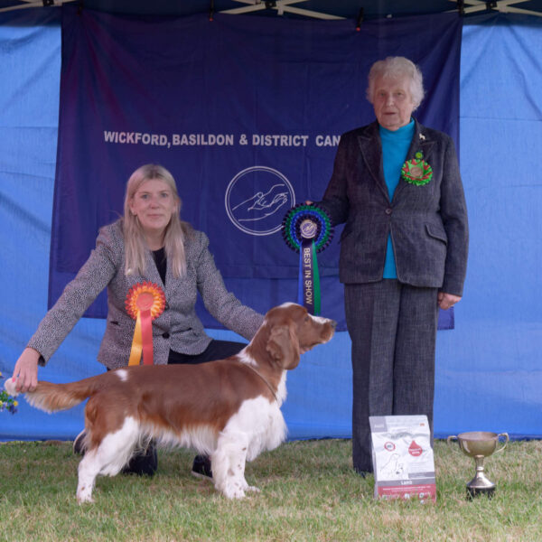 Best In Show - Open Show 2026 Best In Show Open Show 2026