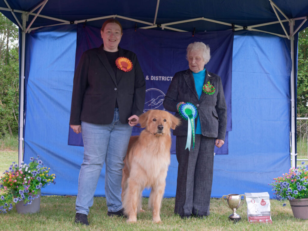 Reserve Best In Show - Open Show 2026 Reserve Best In Show Open Show 2026