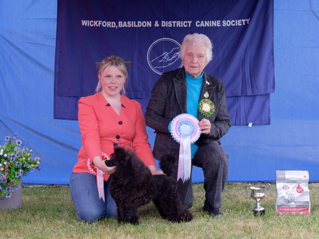 Best Puppy In Show - Open Show 2026 Best Puppy In Show Open Show 2026