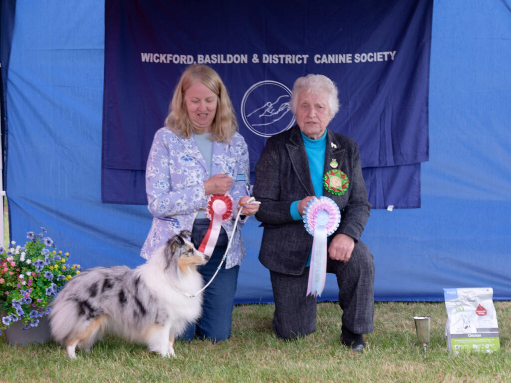 Reserve Best Puppy In Show - Open Show 2026 Reserve Best Puppy In Show Open Show 2026