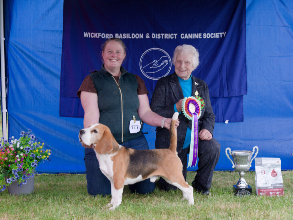 Best Veteran In Show - Open Show 2026 Best Veteran In Show Open Show 2026
